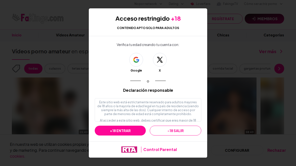 FAKings Vista previa del sitio web