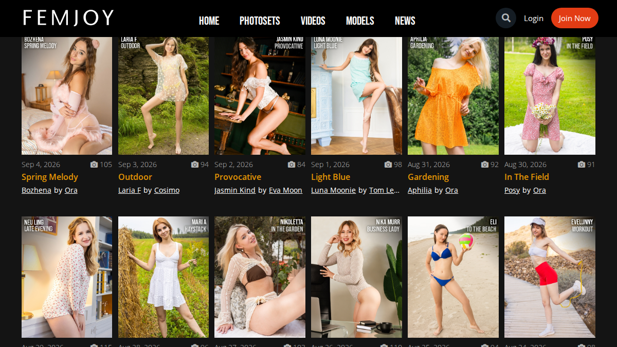 Femjoy Vista previa del sitio web