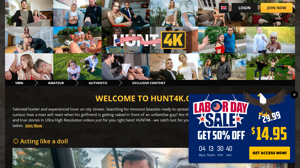 Hunt4K Vista previa del sitio web