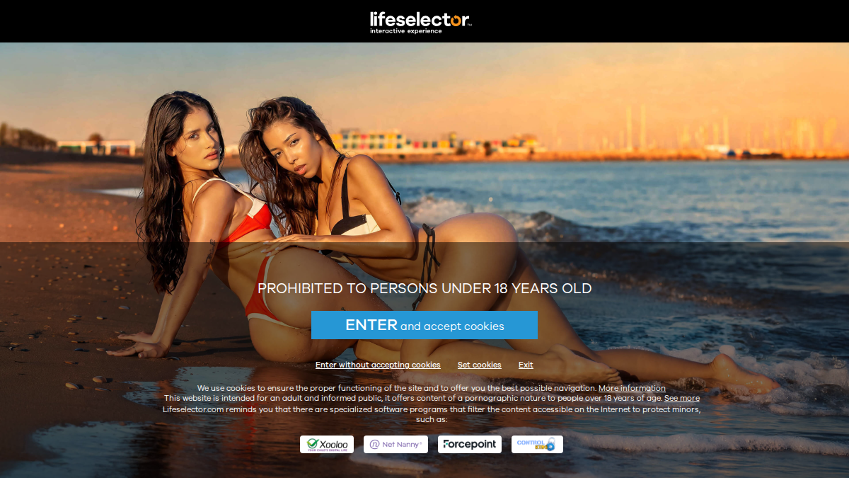 LifeSelector Vista previa del sitio web