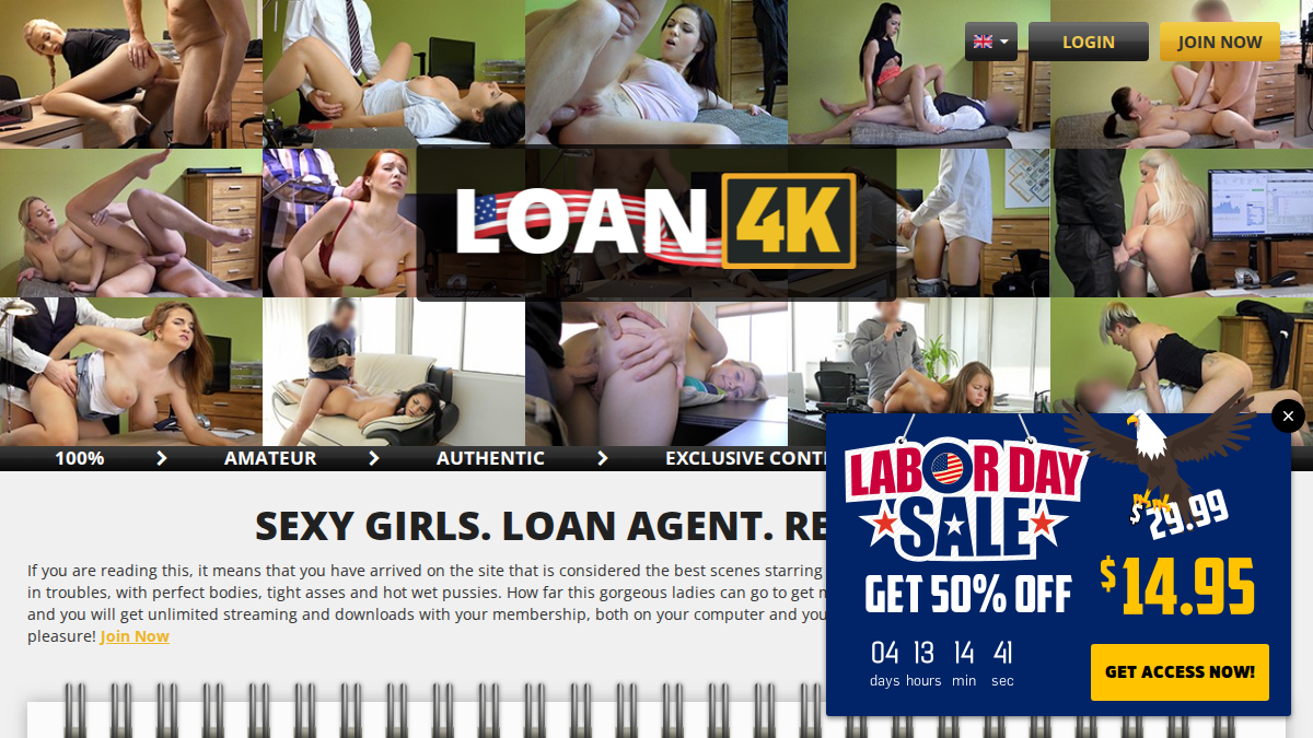 Loan4K Vista previa del sitio web