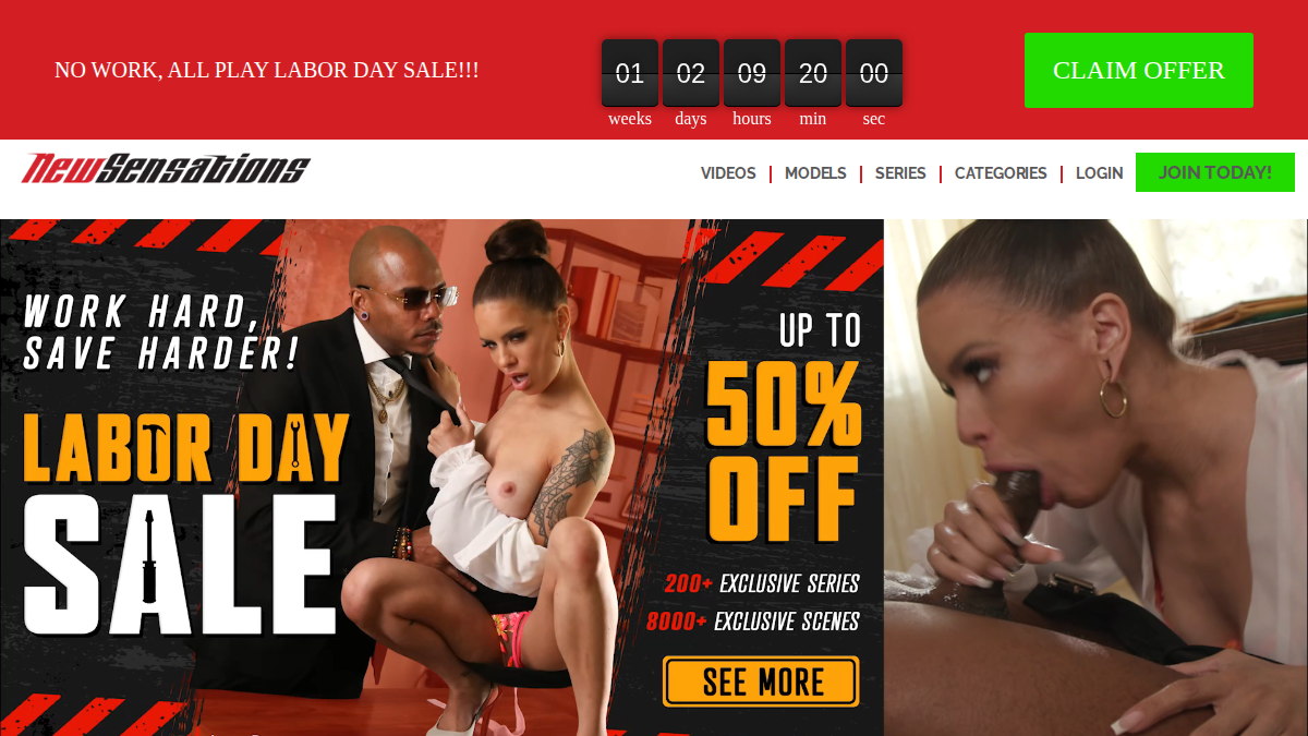 New Sensations Vista previa del sitio web