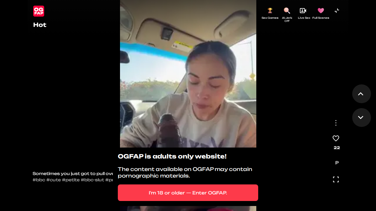 OGFAP Vista previa del sitio web