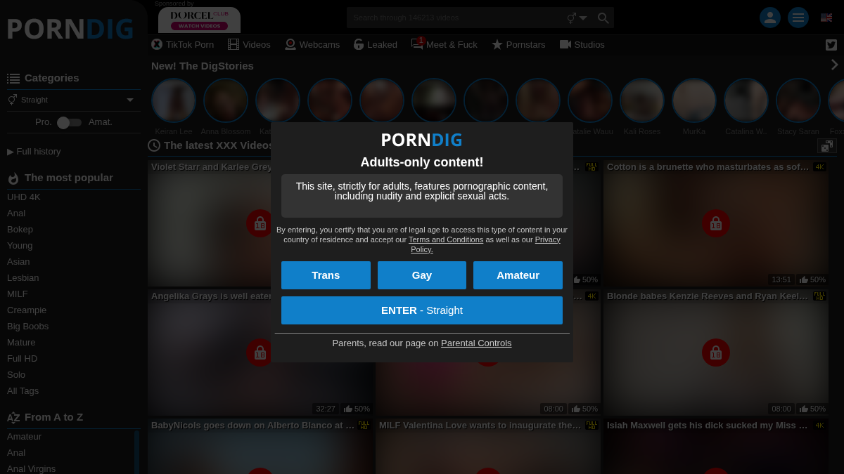 PornDig Vista previa del sitio web