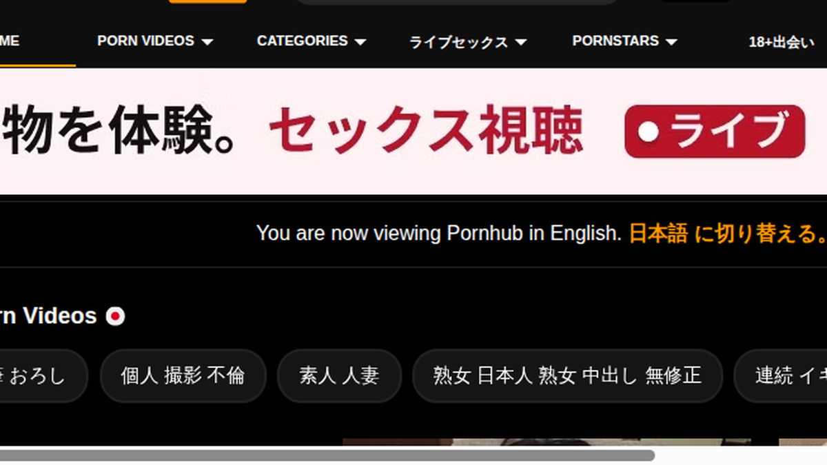 PornHub Vista previa del sitio web