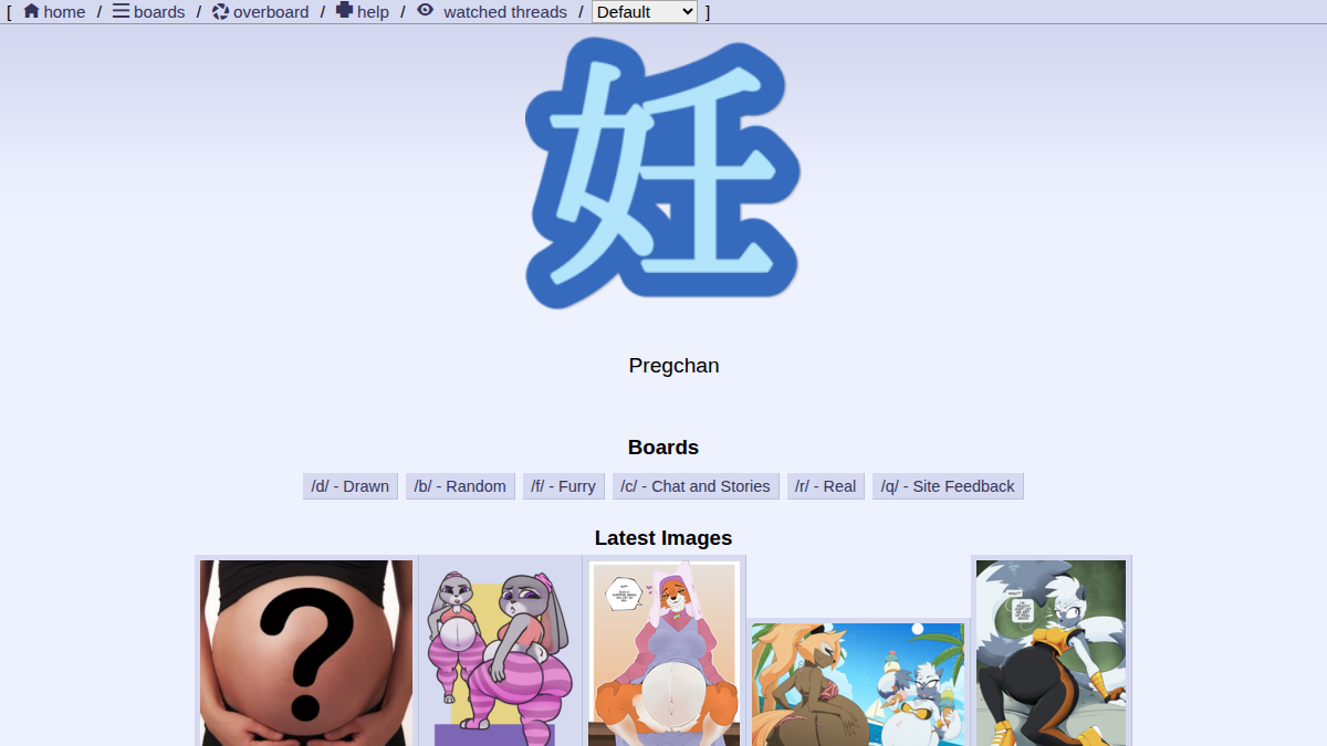 PregChan Vista previa del sitio web