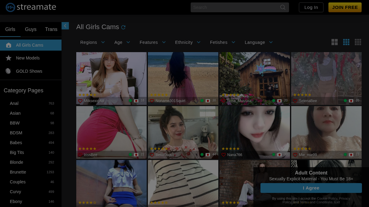 Streamate Vista previa del sitio web