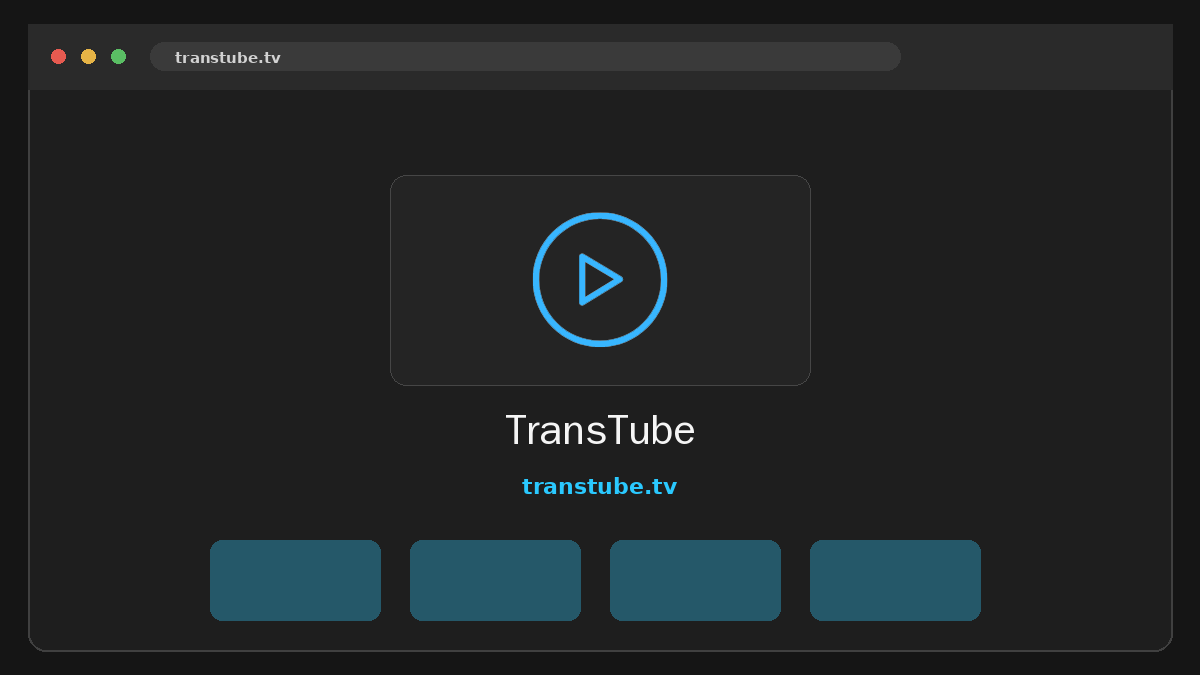 TransTube Vista previa del sitio web