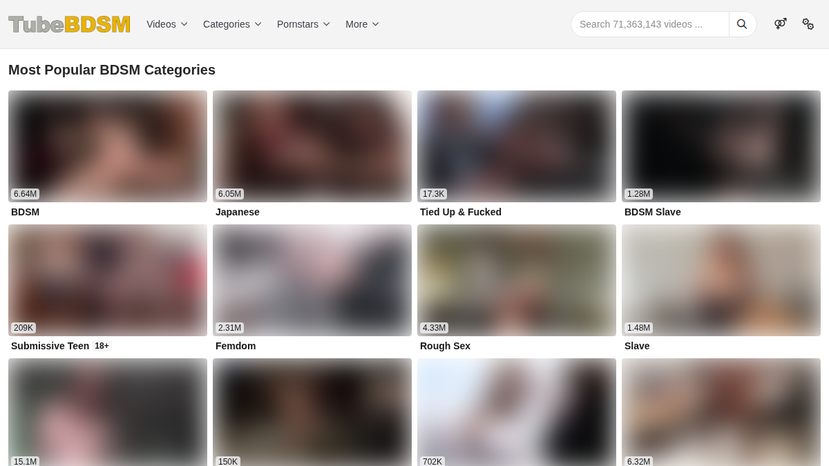 Tube BDSM Vista previa del sitio web