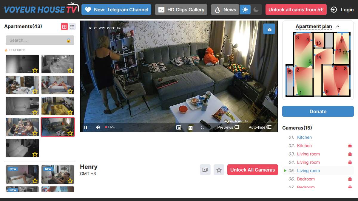 Voyeur House Vista previa del sitio web