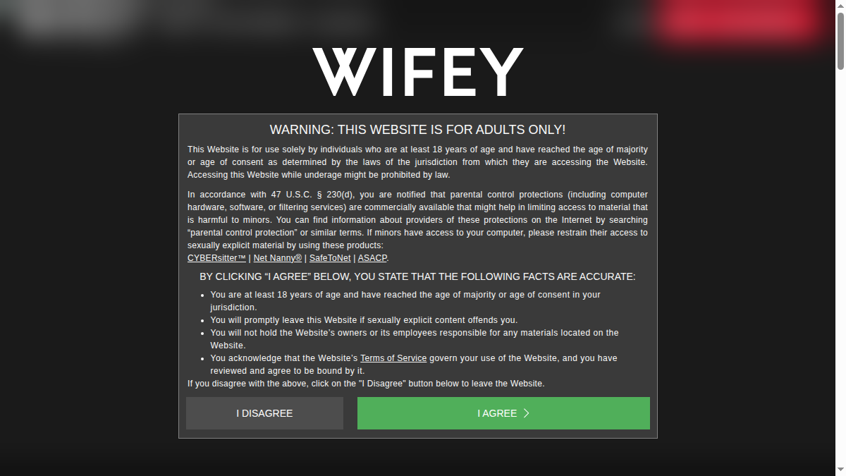 Wifey Vista previa del sitio web